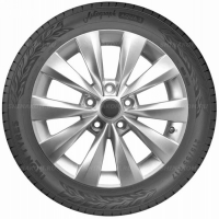 Фото товара - 215/45 R17 91W Ikon / Nokian Tyres Autograph Aqua 3 XL. Вариант №3