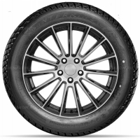 Фото товара - 225/55 R18 98T DoubleStar DW01. Вариант №3