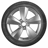 Фото товара - 205/55 R17 95H Ikon / Nokian Tyres Character Snow 2 XL. Вариант №3