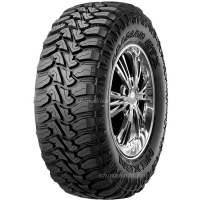 Фото раздела - Roadian MTX RM7